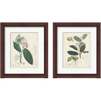 Framed 'Vintage Verdure 2 Piece Framed Art Print Set' border=