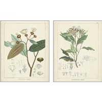 Framed 'Vintage Verdure 2 Piece Art Print Set' border=