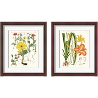 Framed 'Bright Botanicals 2 Piece Framed Art Print Set' border=