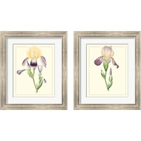 Framed 'Purple Irises 2 Piece Framed Art Print Set' border=