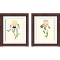 Framed 'Purple Irises 2 Piece Framed Art Print Set' border=