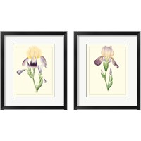 Framed 'Purple Irises 2 Piece Framed Art Print Set' border=