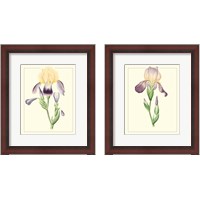 Framed 'Purple Irises 2 Piece Framed Art Print Set' border=