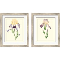 Framed 'Purple Irises 2 Piece Framed Art Print Set' border=