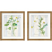 Framed 'Floursack Herbs 2 Piece Framed Art Print Set' border=