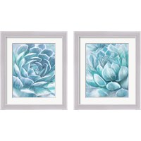 Framed 'Aqua Succulen 2 Piece Framed Art Print Set' border=