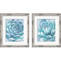 Framed 'Aqua Succulen 2 Piece Framed Art Print Set' border=