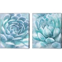 Framed 'Aqua Succulen 2 Piece Canvas Print Set' border=