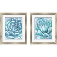 Framed 'Aqua Succulen 2 Piece Framed Art Print Set' border=