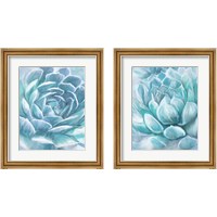 Framed 'Aqua Succulen 2 Piece Framed Art Print Set' border=