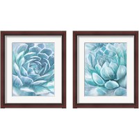 Framed 'Aqua Succulen 2 Piece Framed Art Print Set' border=