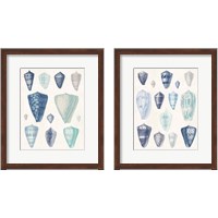 Framed 'Blue Shell Assortment 2 Piece Framed Art Print Set' border=