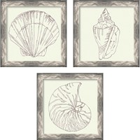 Framed 'Coastal Breeze Sketches Silver 3 Piece Framed Art Print Set' border=