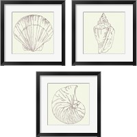 Framed 'Coastal Breeze Sketches Silver 3 Piece Framed Art Print Set' border=