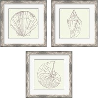 Framed 'Coastal Breeze Sketches Silver 3 Piece Framed Art Print Set' border=