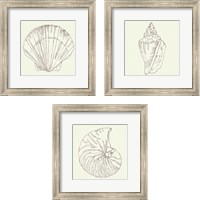 Framed 'Coastal Breeze Sketches Silver 3 Piece Framed Art Print Set' border=