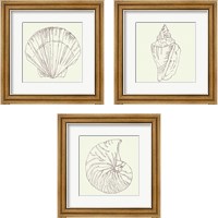 Framed 'Coastal Breeze Sketches Silver 3 Piece Framed Art Print Set' border=