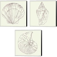 Framed 'Coastal Breeze Sketches Silver 3 Piece Canvas Print Set' border=