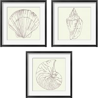 Framed 'Coastal Breeze Sketches Silver 3 Piece Framed Art Print Set' border=