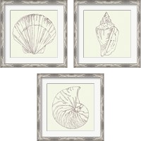 Framed 'Coastal Breeze Sketches Silver 3 Piece Framed Art Print Set' border=