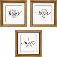 Framed 'Sea Charms Silver 3 Piece Framed Art Print Set' border=