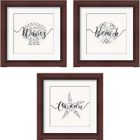 Framed 'Sea Charms Silver 3 Piece Framed Art Print Set' border=