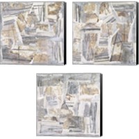 Framed 'Neutral Reconstructions 3 Piece Canvas Print Set' border=