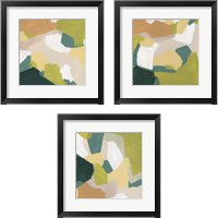 Framed 'Field Survey 3 Piece Framed Art Print Set' border=