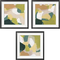 Framed 'Field Survey 3 Piece Framed Art Print Set' border=