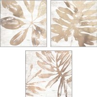 Framed 'Neutral Palm Fossil 3 Piece Art Print Set' border=