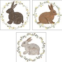 Framed 'Happy Bunny Day 3 Piece Art Print Set' border=