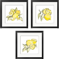 Framed 'Lemon Still Life 3 Piece Framed Art Print Set' border=