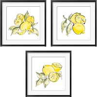 Framed 'Lemon Still Life 3 Piece Framed Art Print Set' border=