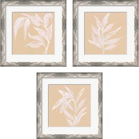 Framed 'Leaf Study 3 Piece Framed Art Print Set' border=