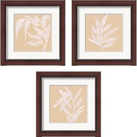 Framed 'Leaf Study 3 Piece Framed Art Print Set' border=