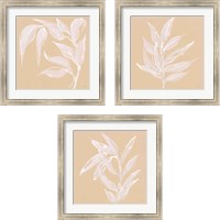 Framed 'Leaf Study 3 Piece Framed Art Print Set' border=