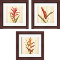 Framed 'Tropical Garden 3 Piece Framed Art Print Set' border=