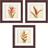 Framed 'Tropical Garden 3 Piece Framed Art Print Set' border=