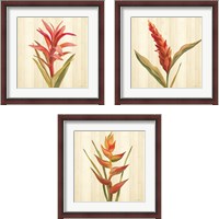 Framed 'Tropical Garden 3 Piece Framed Art Print Set' border=