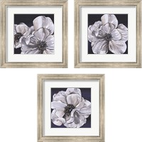 Framed 'Blue & White Floral 3 Piece Framed Art Print Set' border=