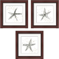 Framed 'Starfish  3 Piece Framed Art Print Set' border=