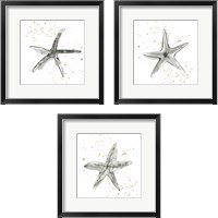 Framed 'Starfish  3 Piece Framed Art Print Set' border=