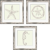 Framed 'Coastal Breeze Sketches Silver 3 Piece Framed Art Print Set' border=