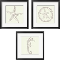 Framed 'Coastal Breeze Sketches Silver 3 Piece Framed Art Print Set' border=