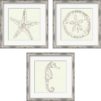 Framed 'Coastal Breeze Sketches Silver 3 Piece Framed Art Print Set' border=