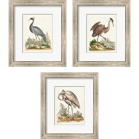 Framed 'Antique Heron & Cranes 3 Piece Framed Art Print Set' border=