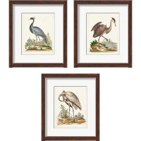 Framed 'Antique Heron & Cranes 3 Piece Framed Art Print Set' border=