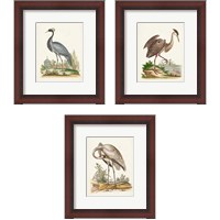 Framed 'Antique Heron & Cranes 3 Piece Framed Art Print Set' border=