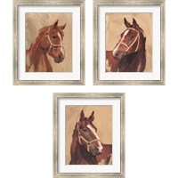 Framed 'Thoroughbred 3 Piece Framed Art Print Set' border=