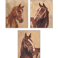 Framed 'Thoroughbred 3 Piece Art Print Set' border=